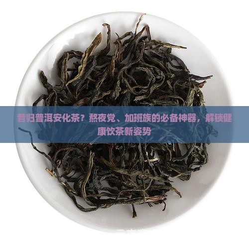 昔归普洱安化茶？熬夜党、加班族的必备神器，解锁健康饮茶新姿势