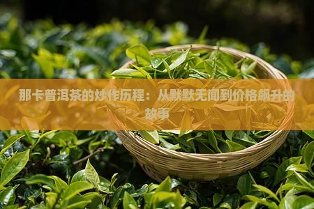 那卡普洱茶的炒作历程：从默默无闻到价格飙升的故事