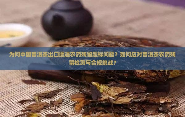 为何中国普洱茶出口遭遇农药残留超标问题？如何应对普洱茶农药残留检测与合规挑战？