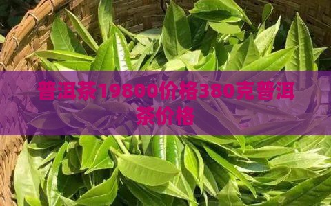 普洱茶19800价格380克普洱茶价格