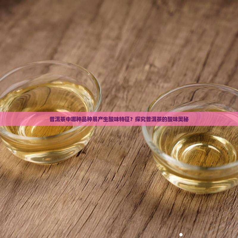 普洱茶中哪种品种易产生酸味特征？探究普洱茶的酸味奥秘