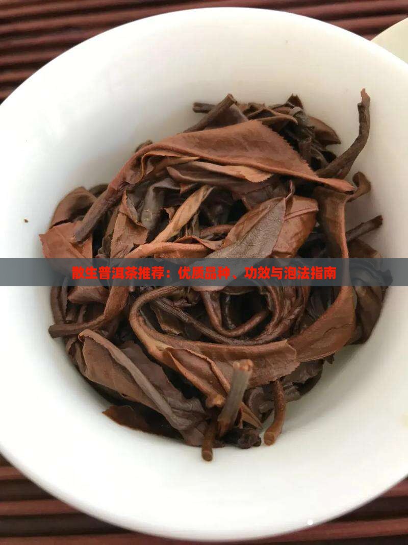 散生普洱茶推荐：优质品种、功效与泡法指南