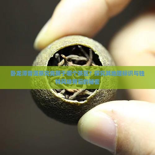 卧龙潭普洱茶究竟属于哪个茶区？探究其地理标识与独特风味背后的秘密