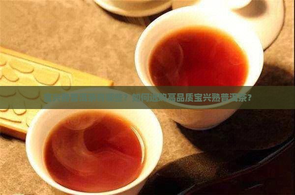 宝兴熟普洱茶有哪些？如何选购高品质宝兴熟普洱茶？