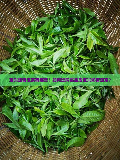 宝兴熟普洱茶有哪些？如何选购高品质宝兴熟普洱茶？
