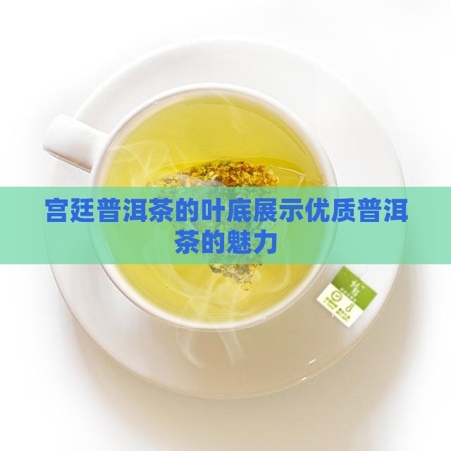 宫廷普洱茶的叶底展示优质普洱茶的魅力