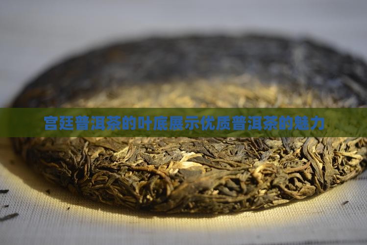 宫廷普洱茶的叶底展示优质普洱茶的魅力