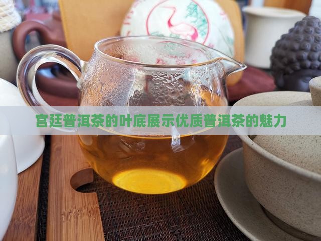 宫廷普洱茶的叶底展示优质普洱茶的魅力