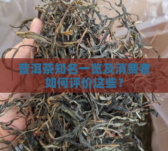 普洱茶知名一览及消费者如何评价这些？