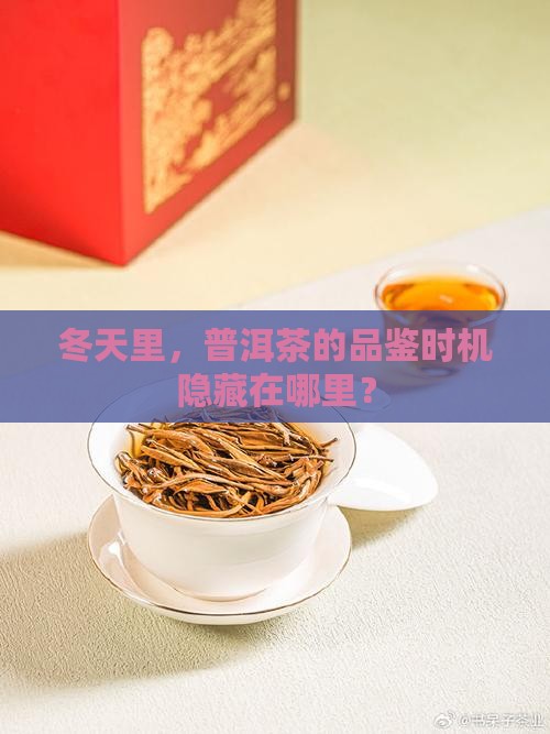 冬天里，普洱茶的品鉴时机隐藏在哪里？