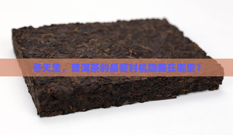 冬天里，普洱茶的品鉴时机隐藏在哪里？
