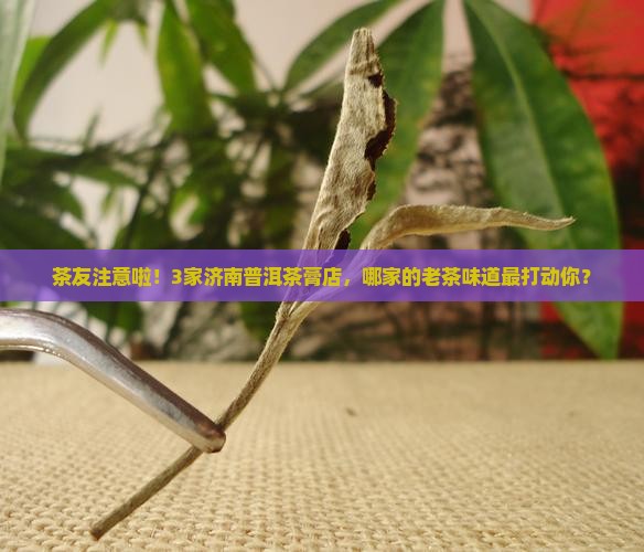 茶友注意啦！3家济南普洱茶膏店，哪家的老茶味道最打动你？