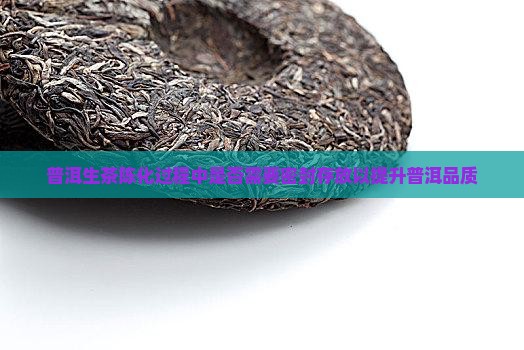 普洱生茶陈化过程中是否需要密封存放以提升普洱品质