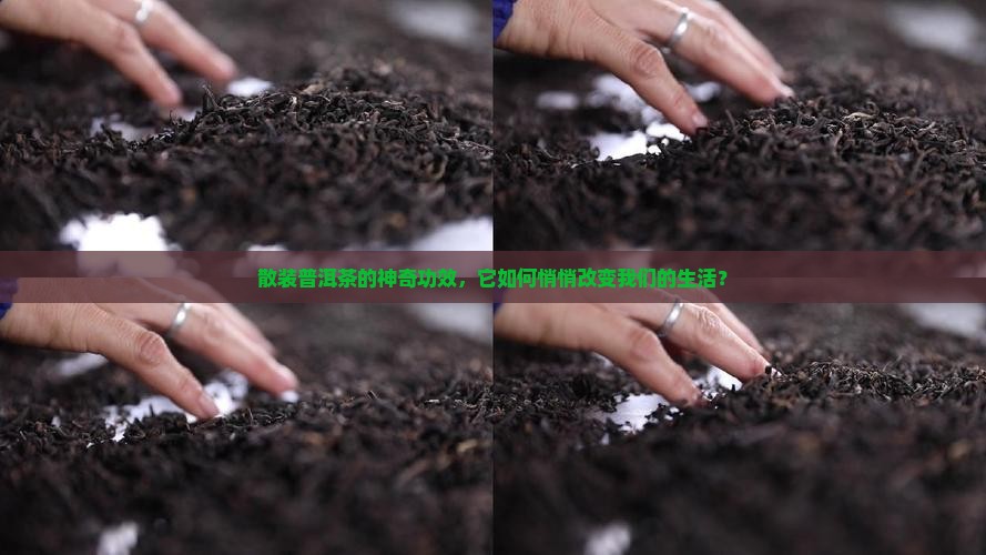 散装普洱茶的神奇功效，它如何悄悄改变我们的生活？