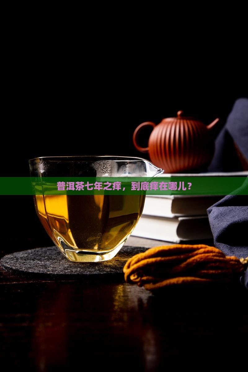 普洱茶七年之痒，到底痒在哪儿？