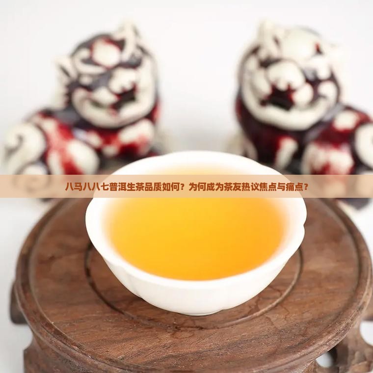 八马八八七普洱生茶品质如何？为何成为茶友热议焦点与痛点？