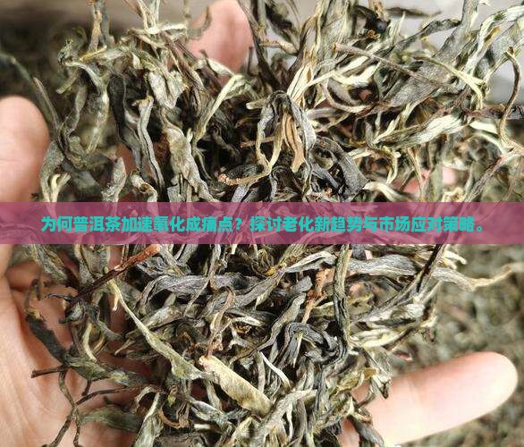 为何普洱茶加速氧化成痛点？探讨老化新趋势与市场应对策略。