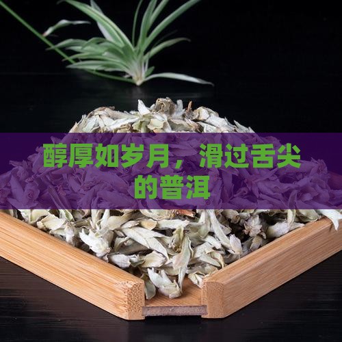 醇厚如岁月，滑过舌尖的普洱