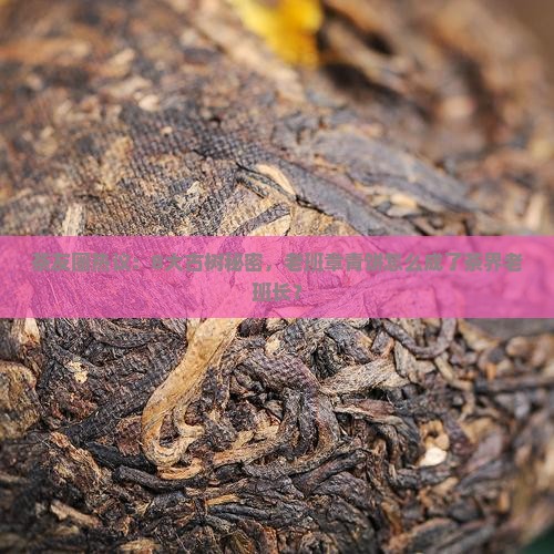 茶友圈热议：8大古树秘密，老班章青饼怎么成了茶界老班长？