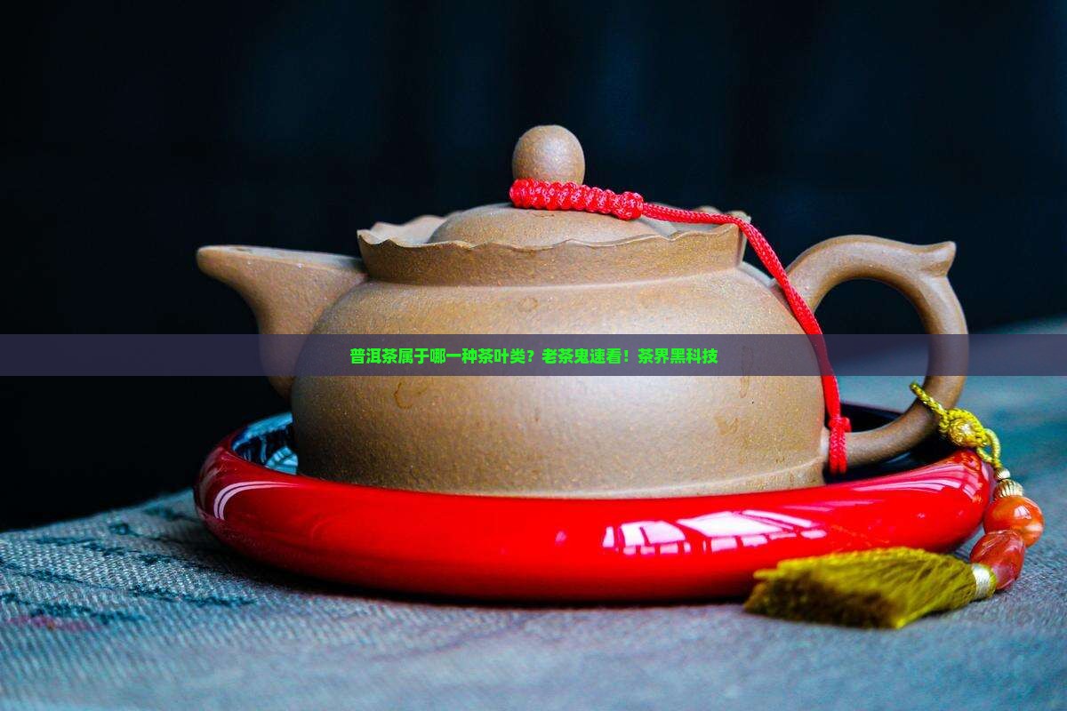 普洱茶属于哪一种茶叶类？老茶鬼速看！茶界黑科技