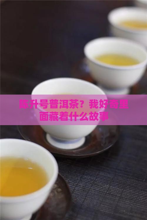 陈升号普洱茶？我好奇里面藏着什么故事