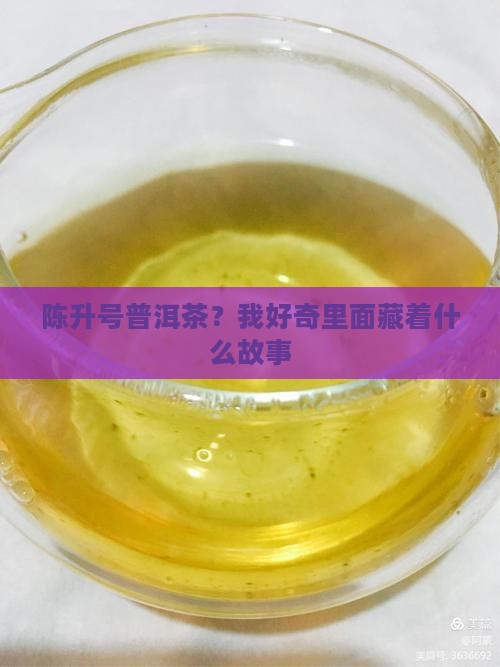 陈升号普洱茶？我好奇里面藏着什么故事