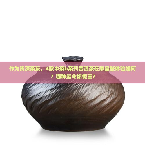 作为资深茶友，4款中茶b系列普洱茶在家品鉴体验如何？哪种最令你惊喜？