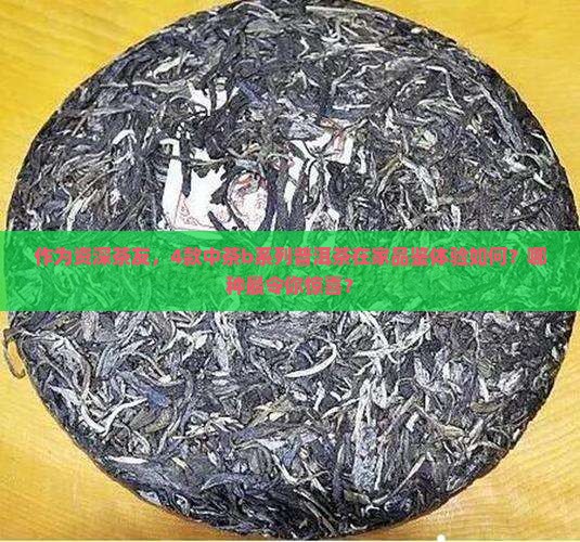 作为资深茶友，4款中茶b系列普洱茶在家品鉴体验如何？哪种最令你惊喜？