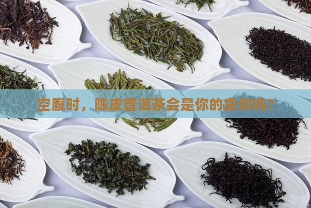 空腹时，陈皮普洱茶会是你的良伴吗？