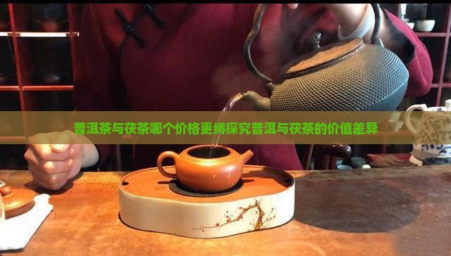 普洱茶与茯茶哪个价格更缚探究普洱与茯茶的价值差异