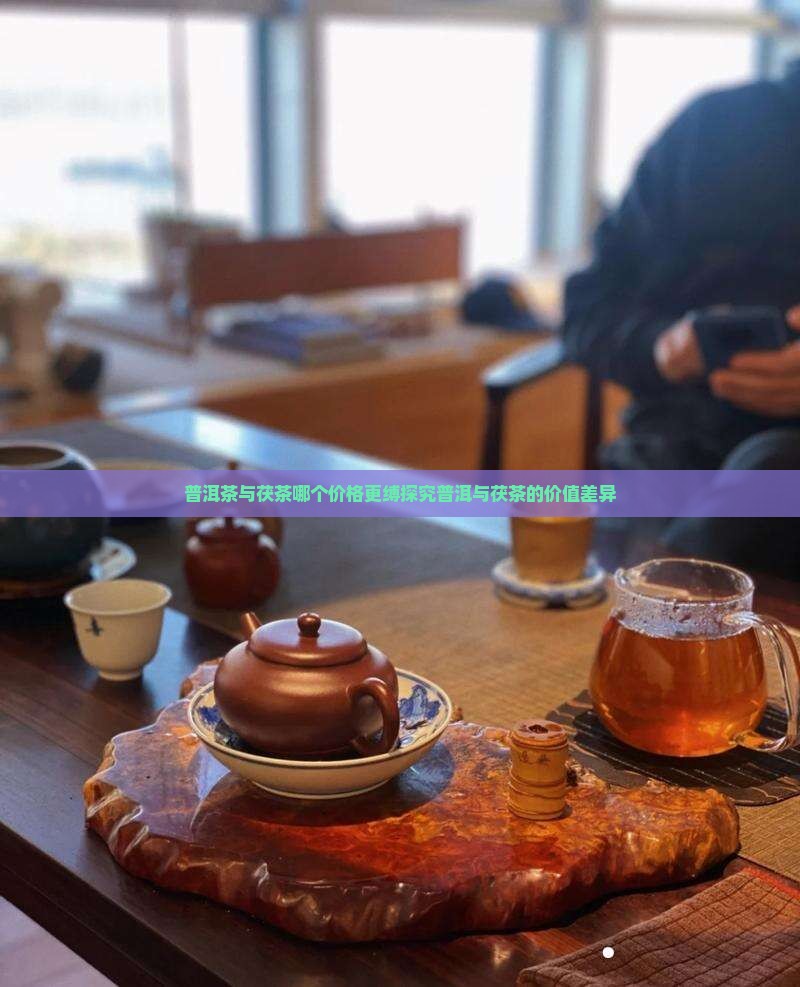 普洱茶与茯茶哪个价格更缚探究普洱与茯茶的价值差异