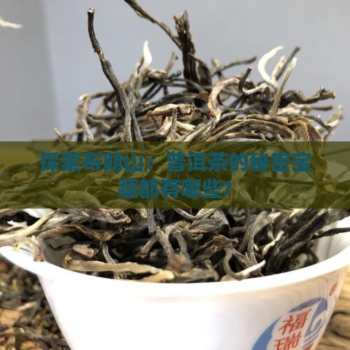 探索布朗山：普洱茶的秘密宝藏都有哪些?