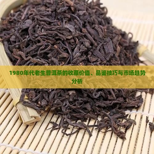 1980年代老生普洱茶的收藏价值、品鉴技巧与市场趋势分析