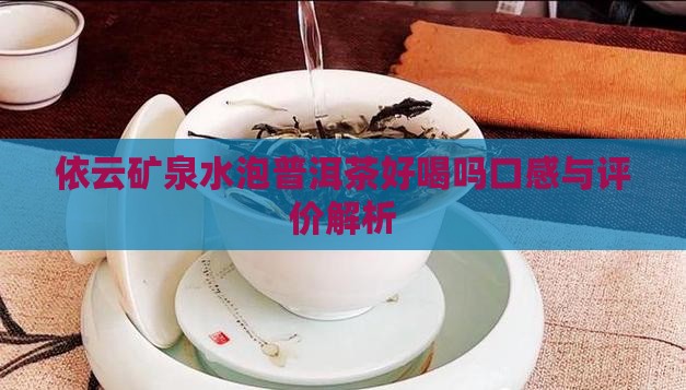 依云矿泉水泡普洱茶好喝吗口感与评价解析