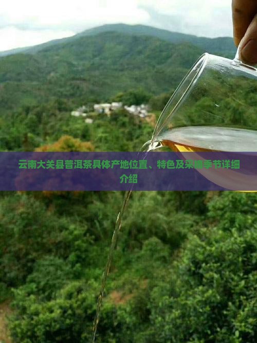 云南大关县普洱茶具体产地位置、特色及采摘季节详细介绍
