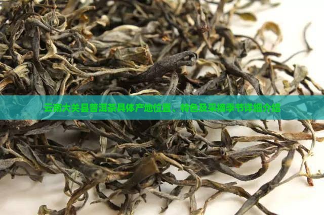 云南大关县普洱茶具体产地位置、特色及采摘季节详细介绍
