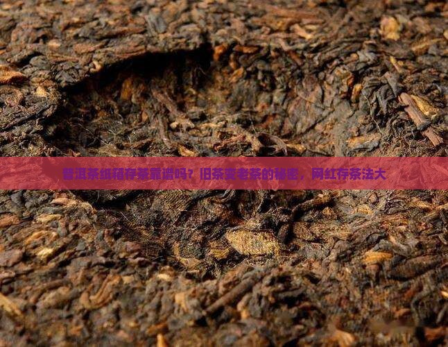 普洱茶纸箱存茶靠谱吗？旧茶变老茶的秘密，网红存茶法大
