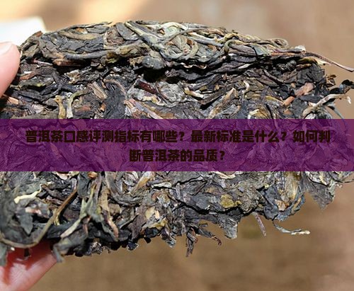 普洱茶口感评测指标有哪些？最新标准是什么？如何判断普洱茶的品质？