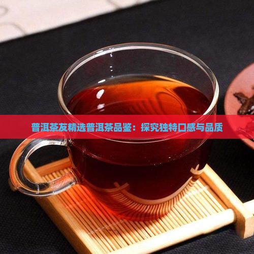 普洱茶友精选普洱茶品鉴：探究独特口感与品质