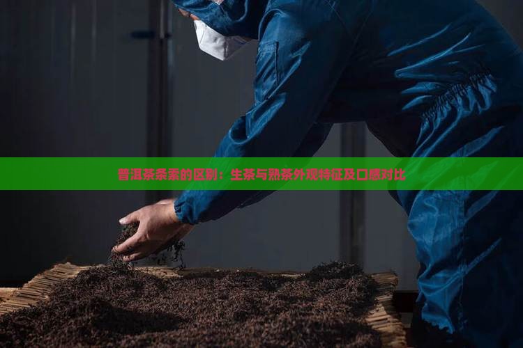 普洱茶条索的区别：生茶与熟茶外观特征及口感对比