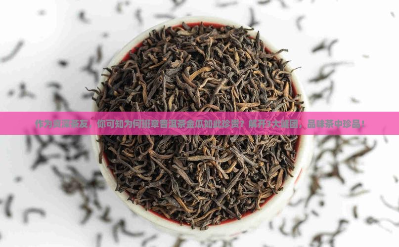 作为资深茶友，你可知为何班章普洱茶金瓜如此珍贵？解开3大谜团，品味茶中珍品！