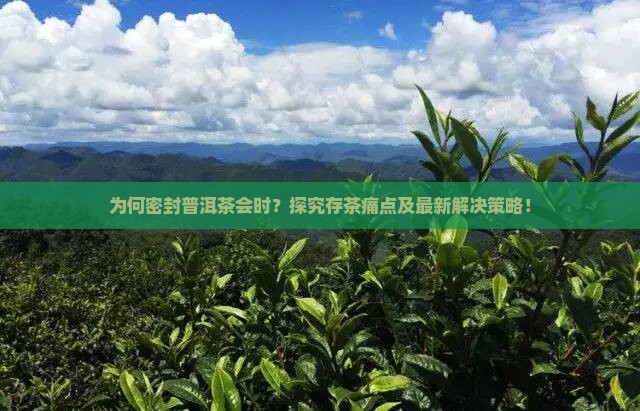 为何密封普洱茶会时？探究存茶痛点及最新解决策略！