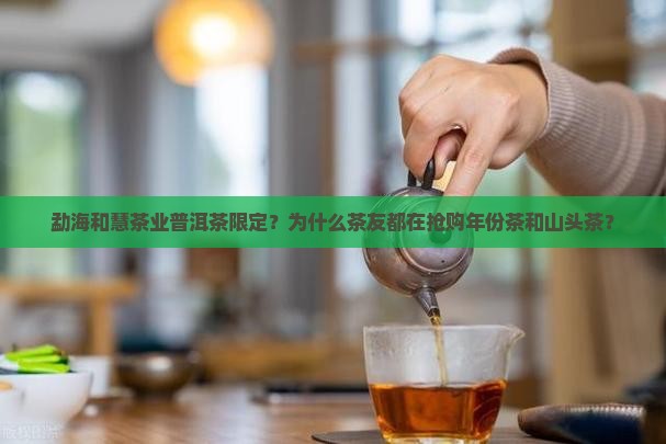 勐海和慧茶业普洱茶限定？为什么茶友都在抢购年份茶和山头茶？