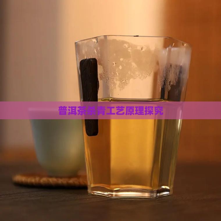 普洱茶杀青工艺原理探究