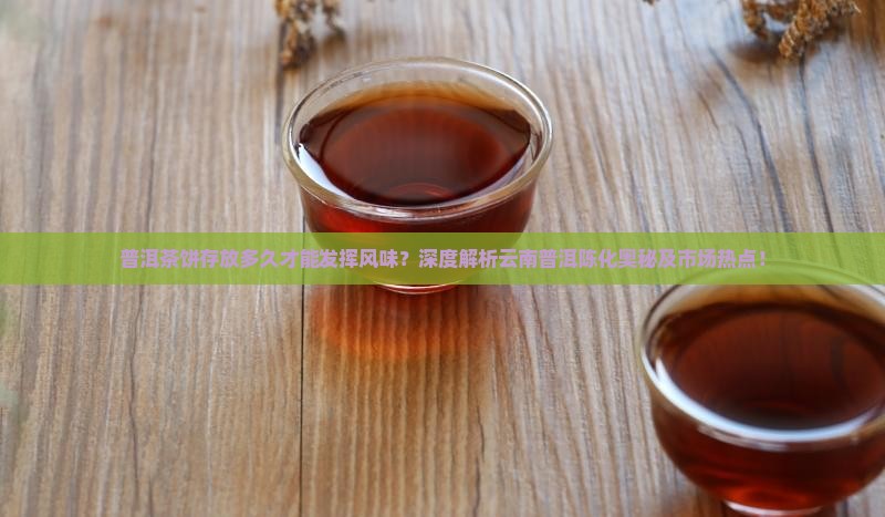 普洱茶饼存放多久才能发挥风味？深度解析云南普洱陈化奥秘及市场热点！