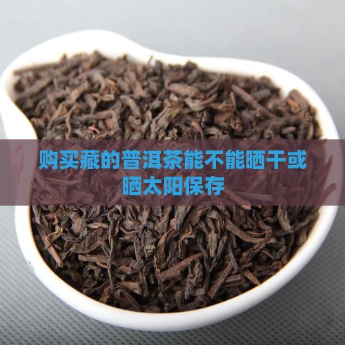 购买藏的普洱茶能不能晒干或晒太阳保存