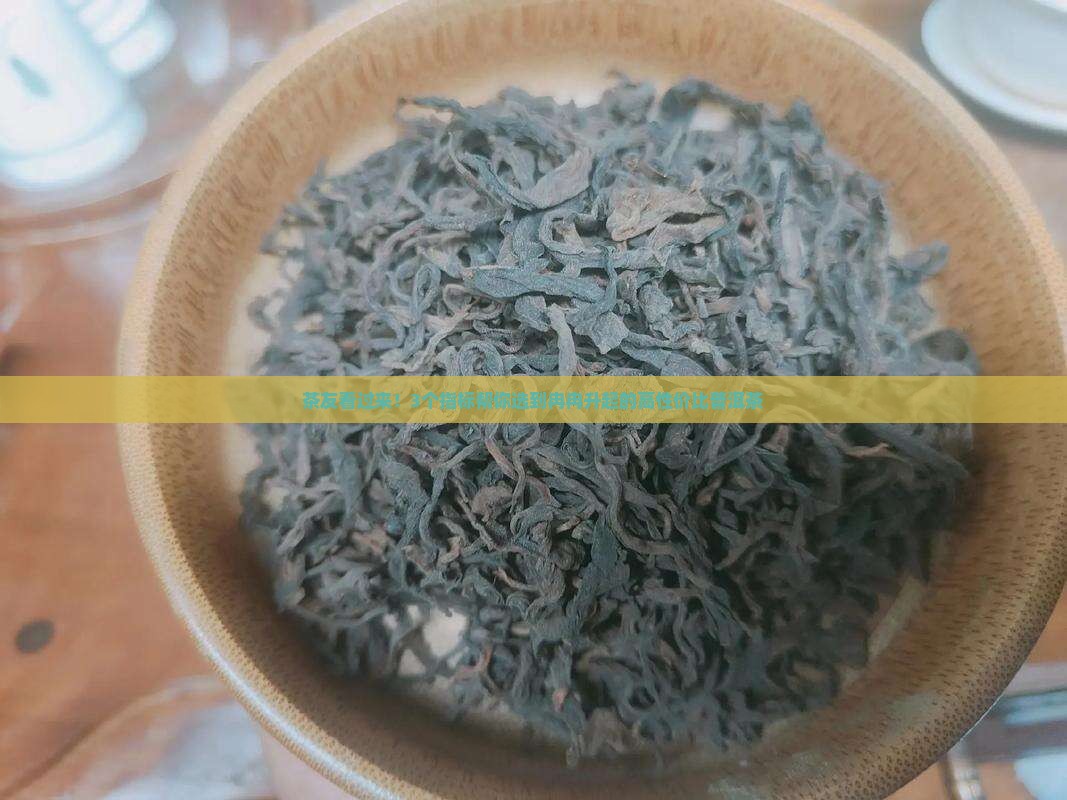 茶友看过来！3个指标帮你选到冉冉升起的高性价比普洱茶