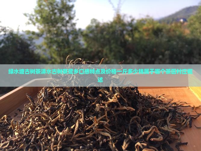 绿水塘古树茶漭水古树茶鹭乡口感特点及价格一斤多少钱属于哪个茶区村庄概述