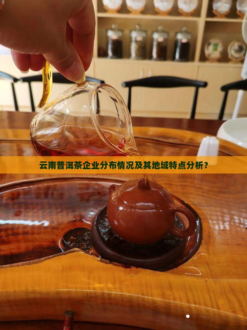 云南普洱茶企业分布情况及其地域特点分析？