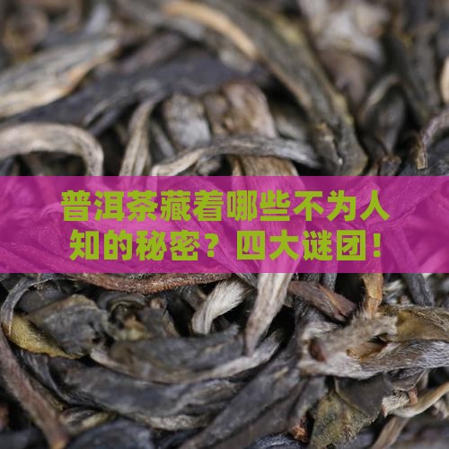 普洱茶藏着哪些不为人知的秘密？四大谜团！